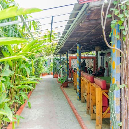 Residence Ivoire 코토누 외부 사진